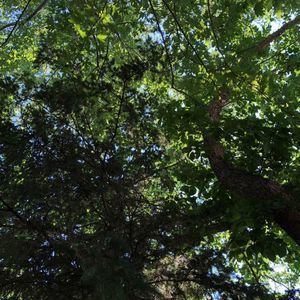 Meet your Posher, Sydney